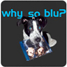 Why So Blu?